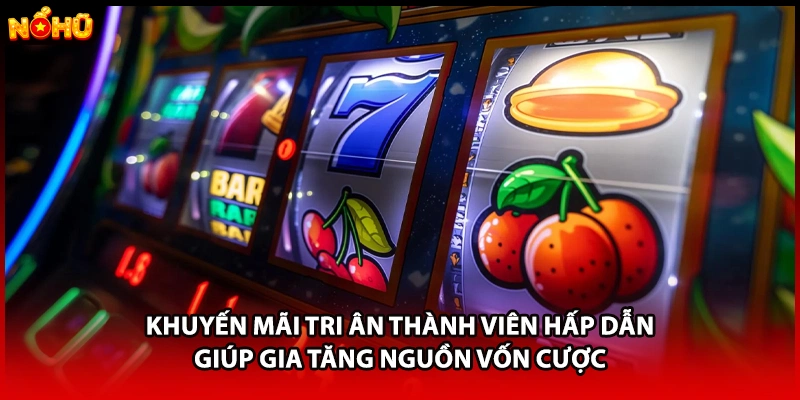 Khuyến mãi tri ân thành viên hấp dẫn giúp gia tăng nguồn vốn cược