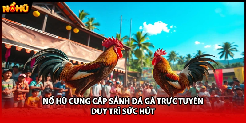 Nổ hũ cung cấp sảnh đá gà trực tuyến duy trì sức hút
